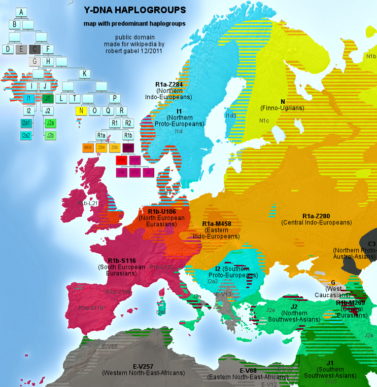 Y-DNA Haplogruppen Europas