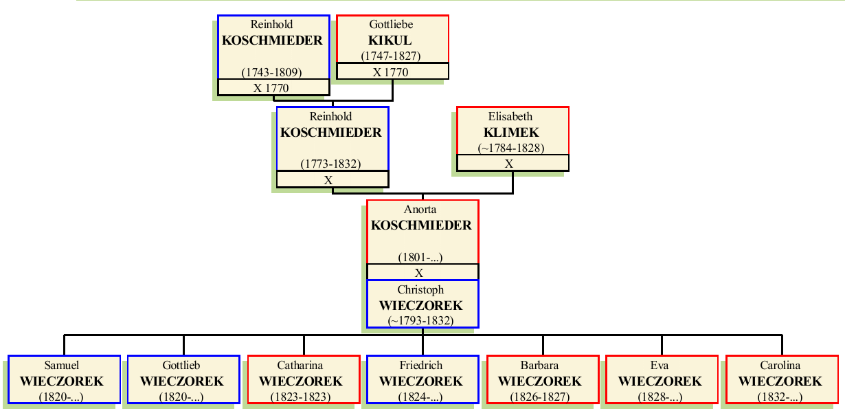 Stammbaum von Anorta (Anna Dorothea)