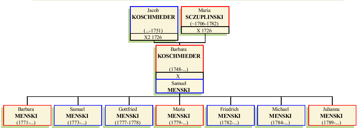 Stammbaum von Barbara