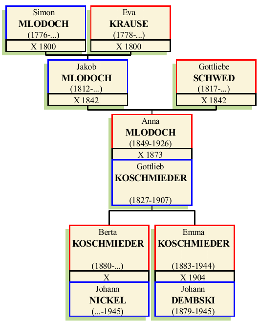 Stammbaum von Anna