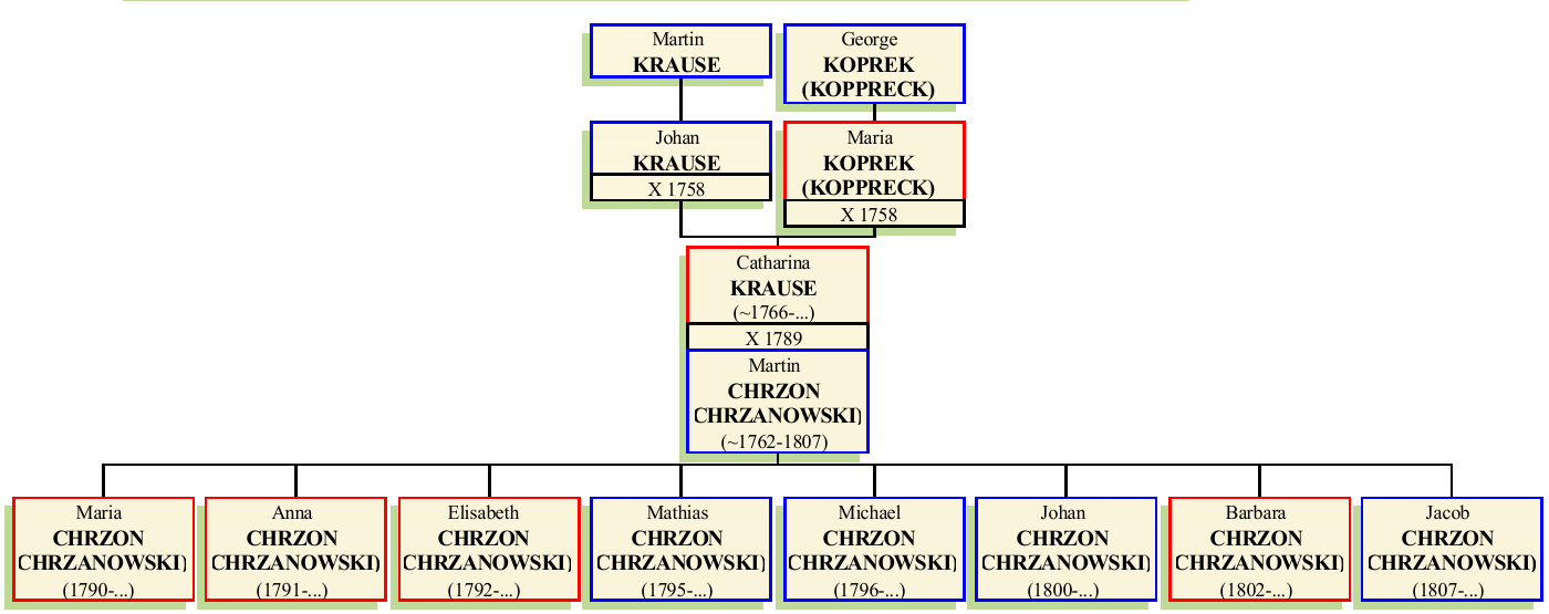 Stammbaum von Catharina