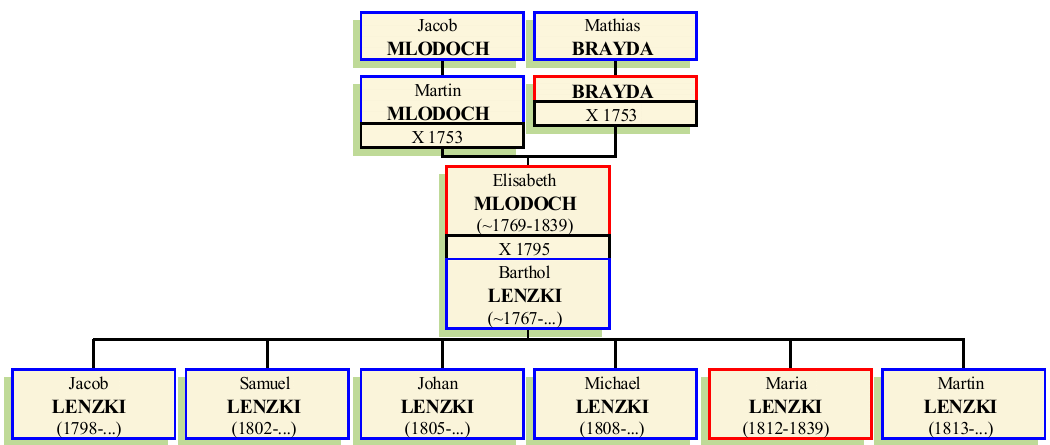 Stammbaum von Elisabeth