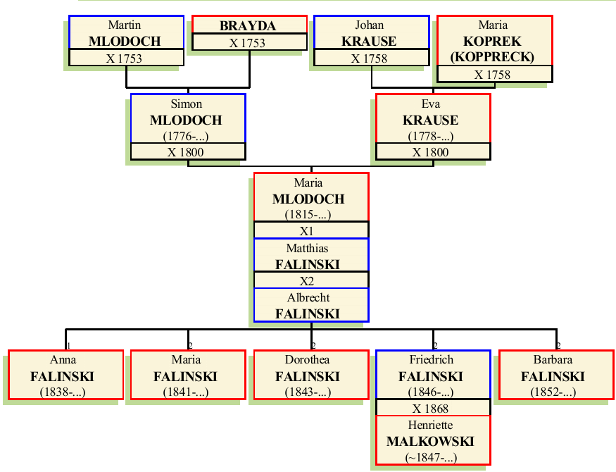 Stammbaum von Maria