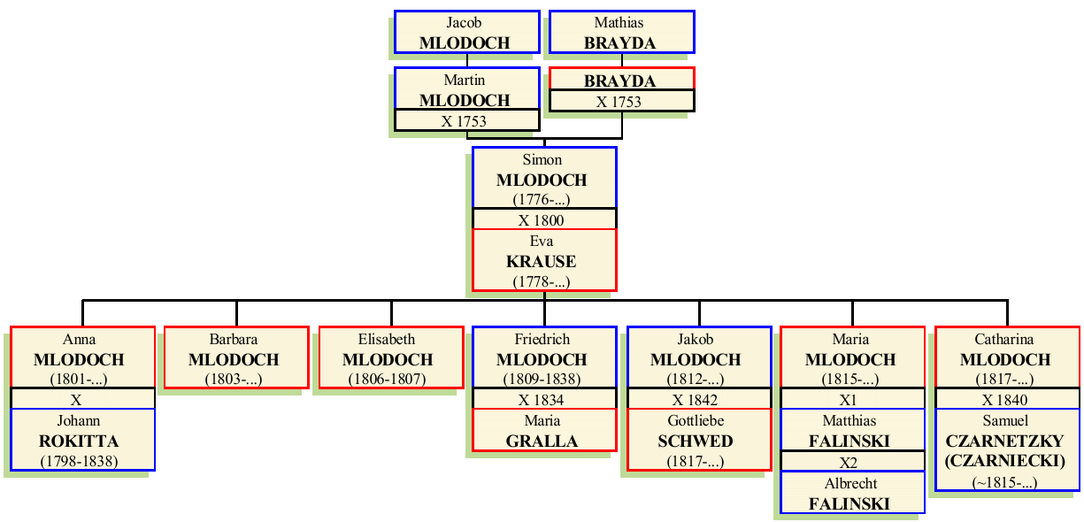 Stammbaum von Simon